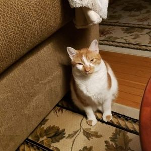 I just want to say everyone please be safe